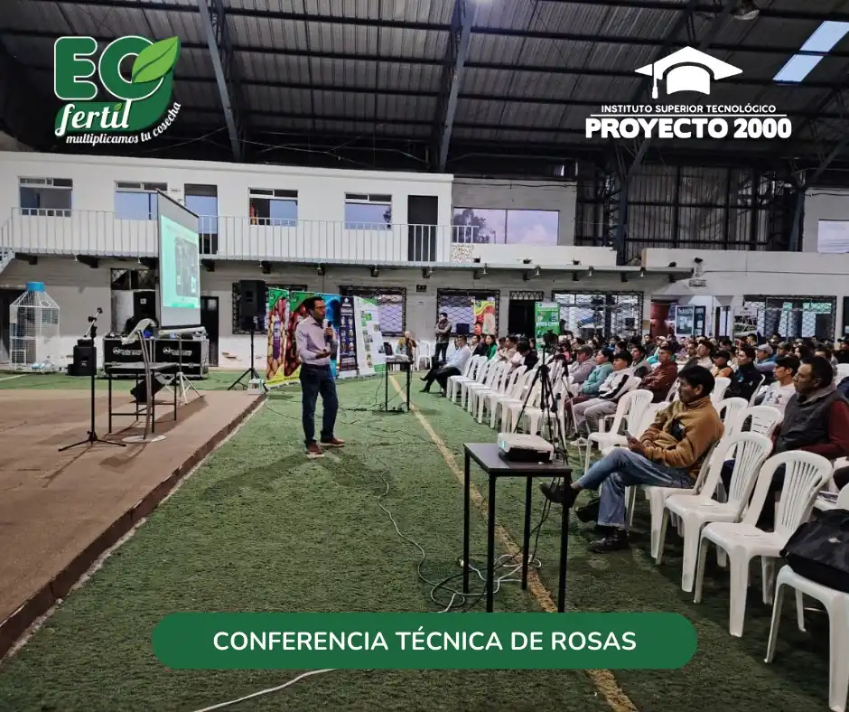 Imagen 2