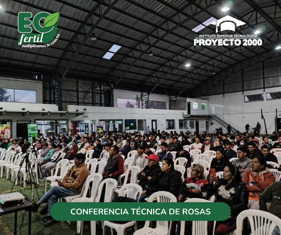 Imagen 3